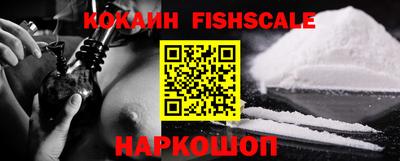 гашик Кингисепп