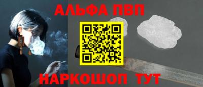 гашик Кингисепп