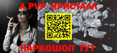 гашик Кингисепп