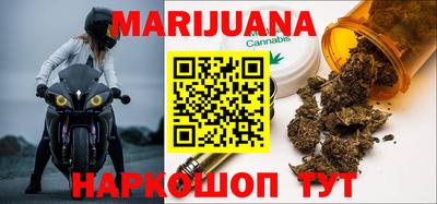 гашик Кингисепп
