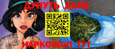 гашик Кингисепп