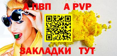 гашик Кингисепп