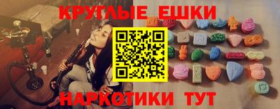гашик Кингисепп