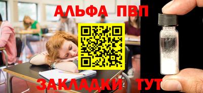 гашик Кингисепп