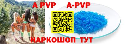 крисы Кинель