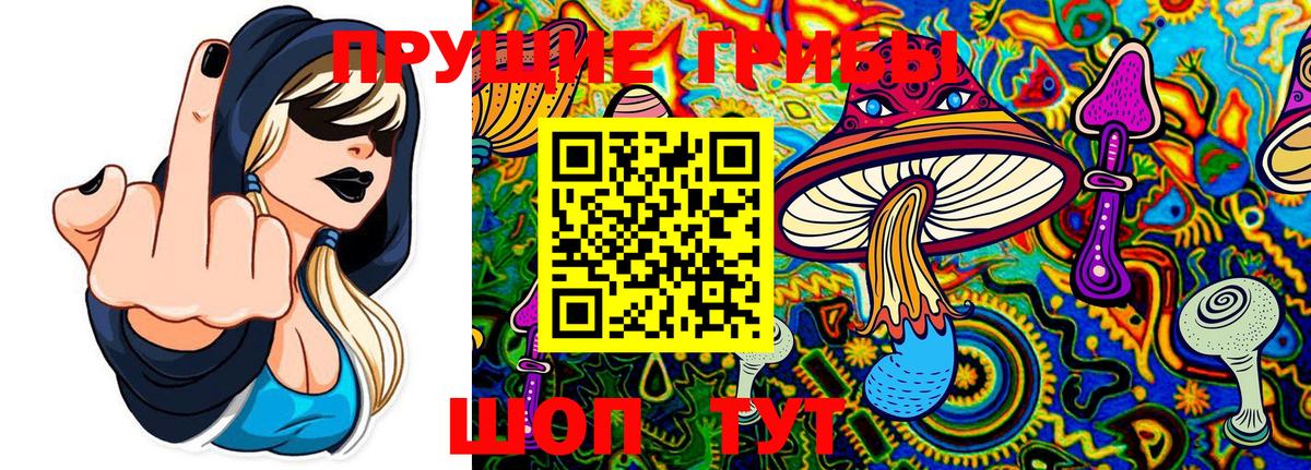 Галлюциногенные грибы GOLDEN TEACHER  Вход с VPN  Краснознаменск 
